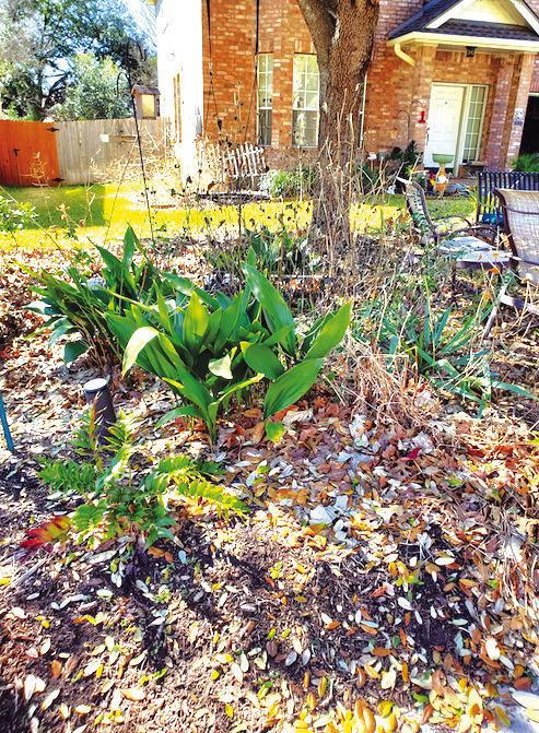 Spring Lake Garden Club gives tips for sustainable yards and healthy landscapes