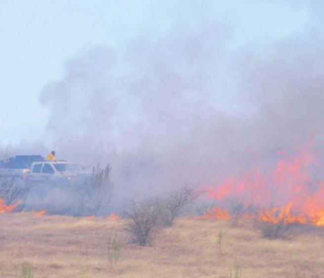 South Hays, area fire departments put out brush fire in San Marcos