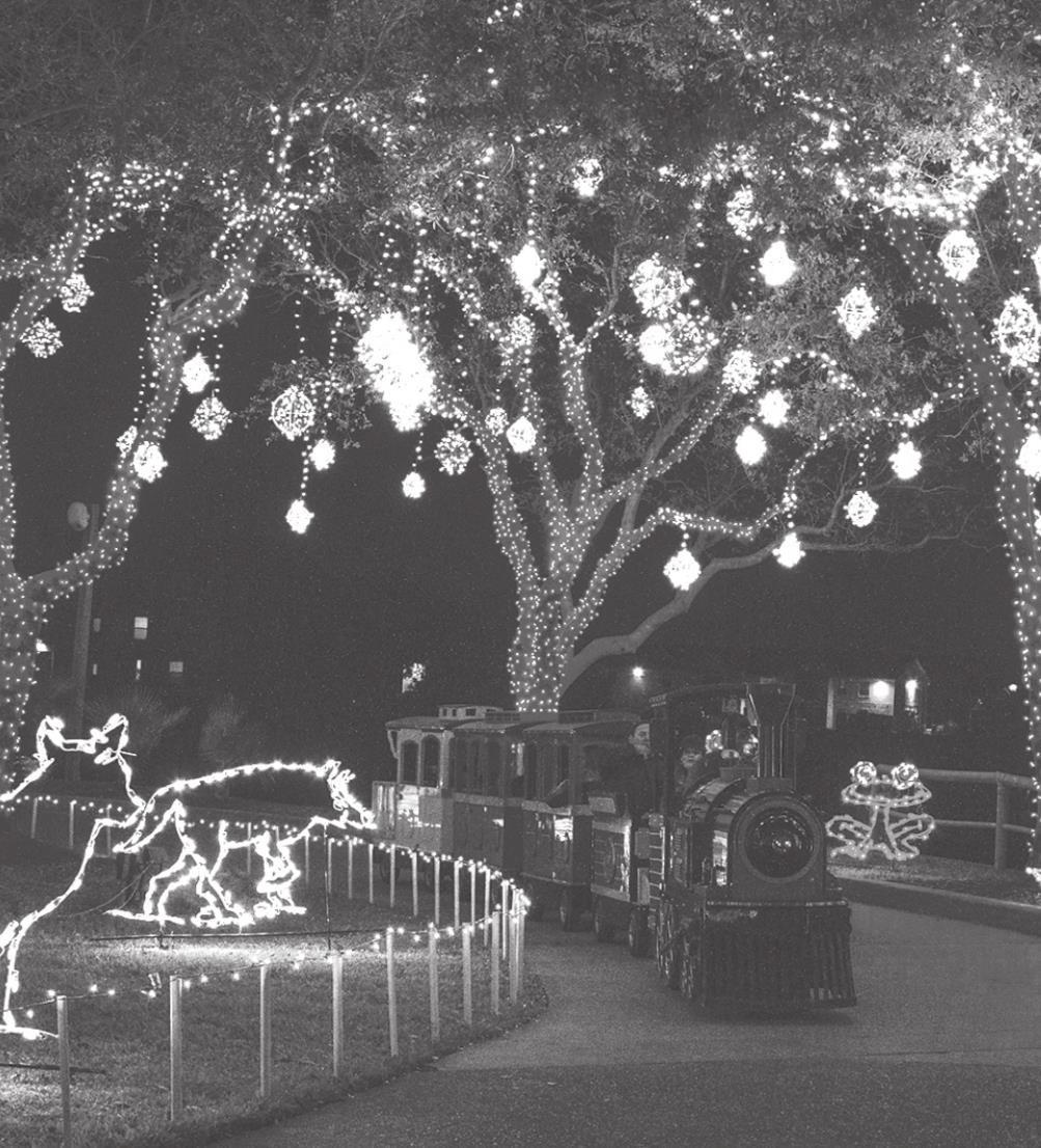 Holiday in the Gardens celebrates 20 years of its Festival of Lights