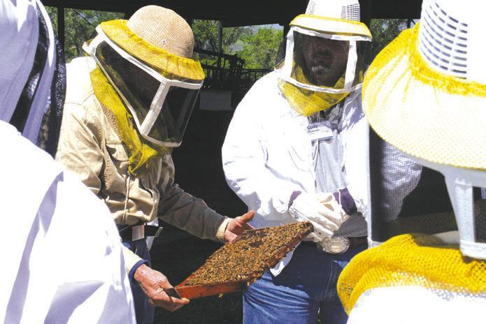 Central Texas Beekeepers School now accepting students