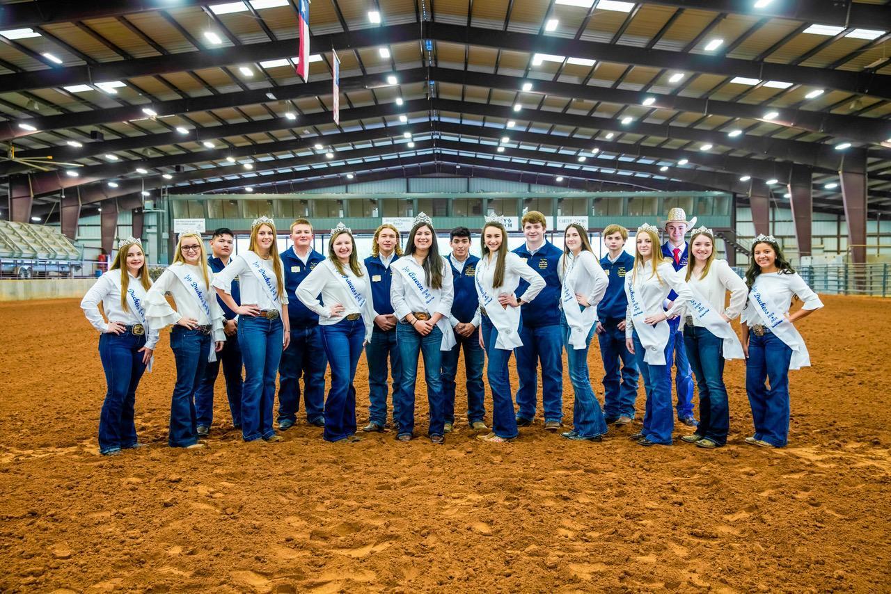 Hays County Livestock Show, hays county, San Marcos News, San Marcos Record, dripping springs