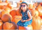 Dripping Springs Pumpkin Festival to take place Sept. 23-Oct. 29