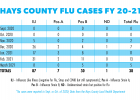 Flu testing minimal but COVID-19 precautions help prevent viral spread