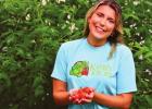 Garden Treasure Tomato: A star of Katie’s Krops and your garden, too