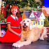 TPA’s Broadway in Austin adds ’Annie’ to 24-25 season lineup